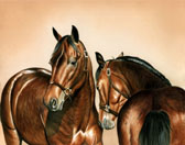 Standardbred, Equine Art - Wild and Dangerous